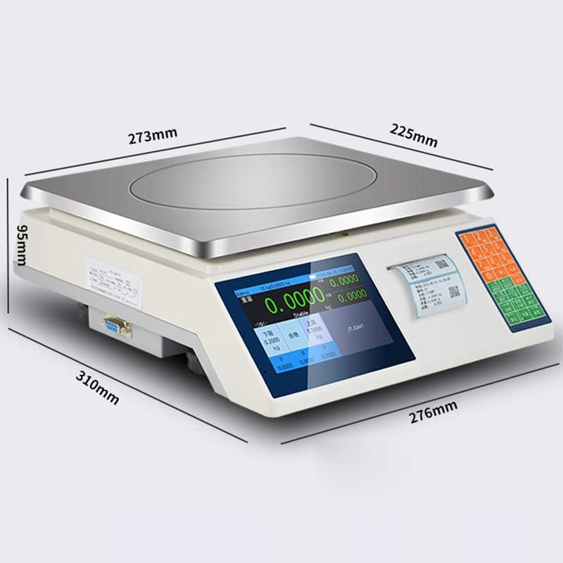 Bilancia elettronica con stamp - Commercial Printing Industry recensione e prezzo